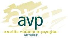 AVP